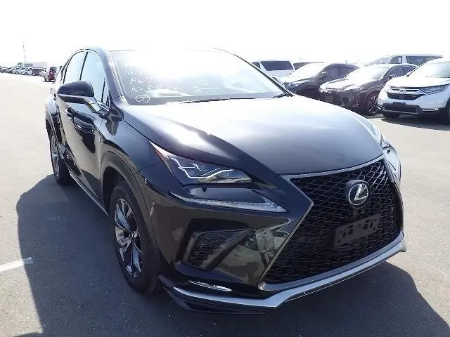 Lexus NX300H